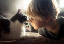 Ansiedad y su impacto en la dinámica familiar: «Entre Lazos y Temores: Navegando la Ansiedad en Familia»